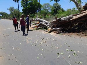 மரமொன்று வீதியின் குறுக்காக வீழ்ந்ததால்